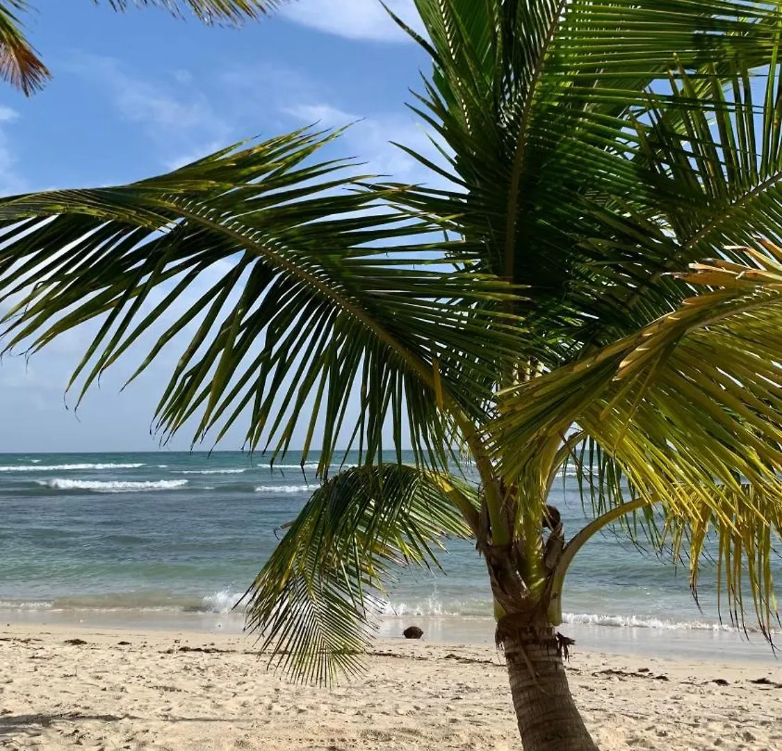 Le Cocon Creole Studio Vue Mer Village Vacances Sainte-Anne  Sainte-Anne (Grande-Terre)